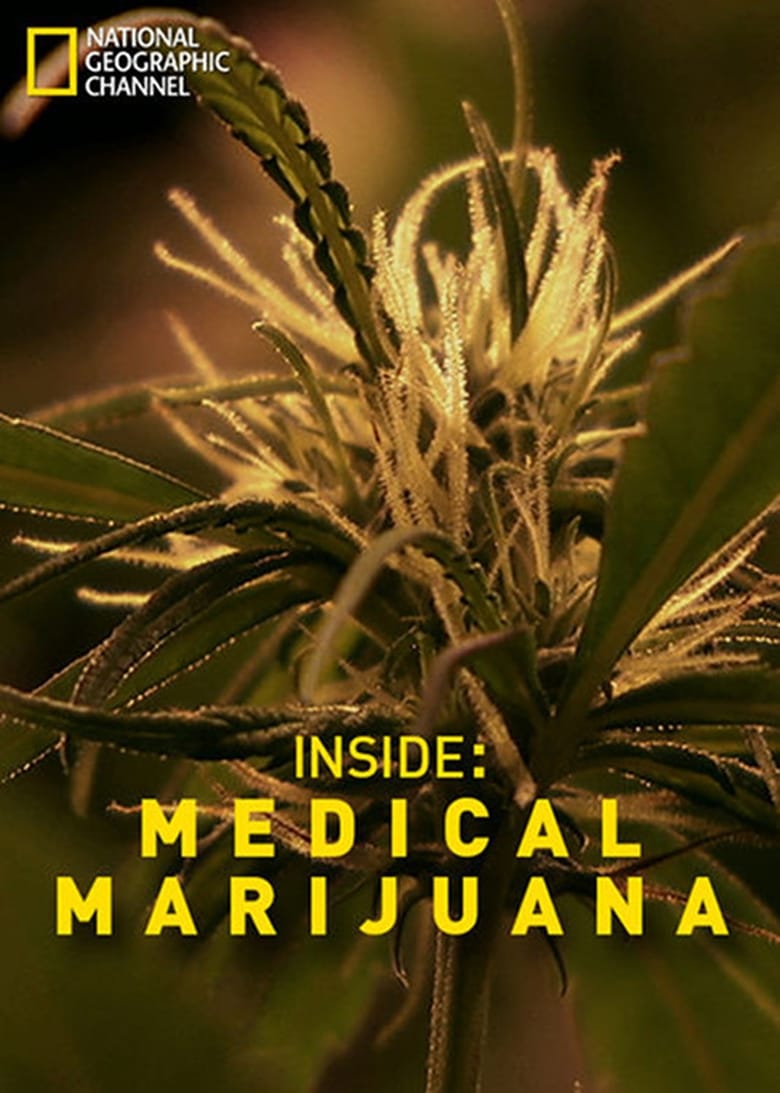 Poster of Inside: Medical Marijuana