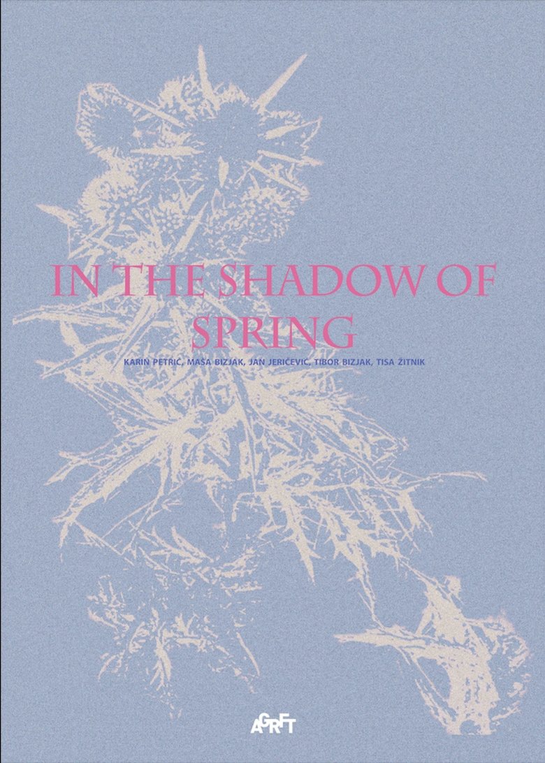 Poster of In the Shadow of Spring