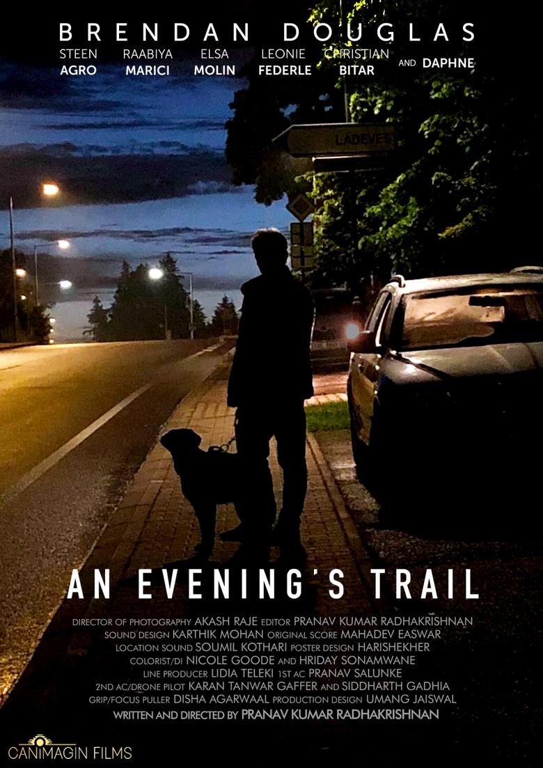 Poster of An Evening's Trail