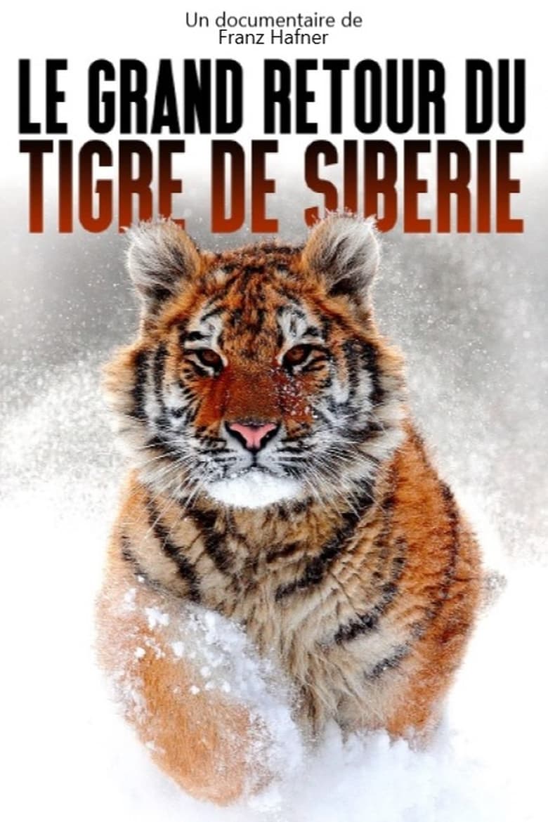 Poster of The Great Return of the Siberian Tiger