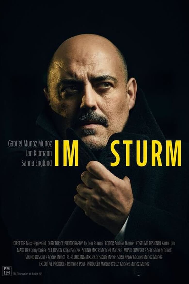 Poster of Im Sturm