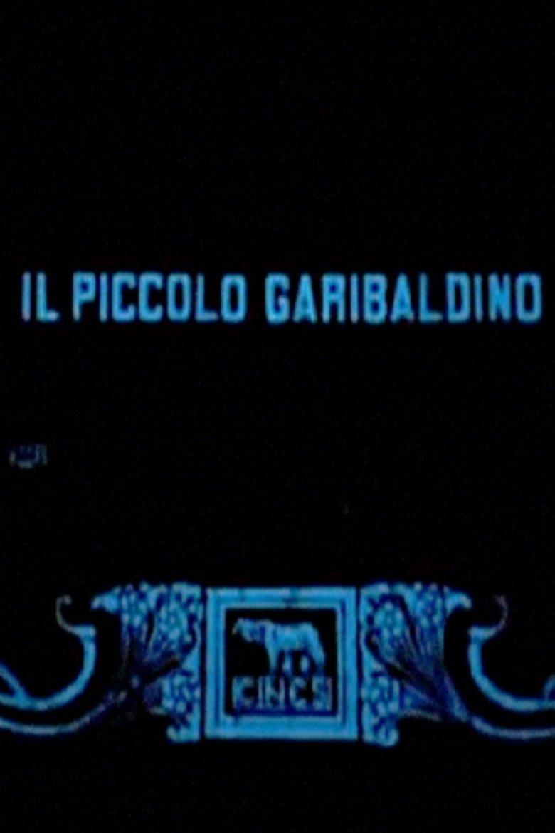 Poster of The Garibaldi Boy
