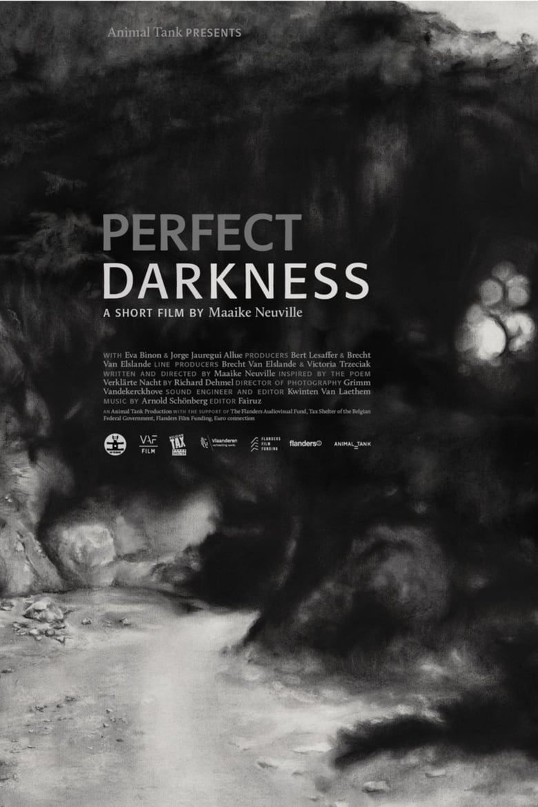 Poster of Perfect Darkness