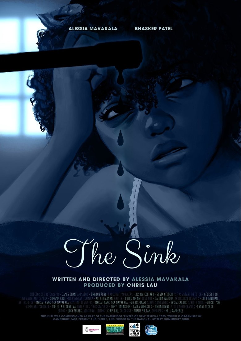 Poster of The Sink