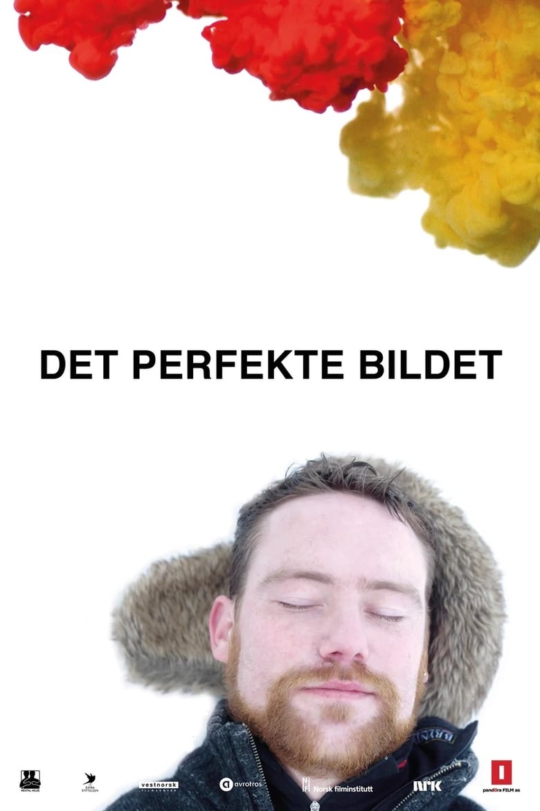 Poster of Det perfekte bildet