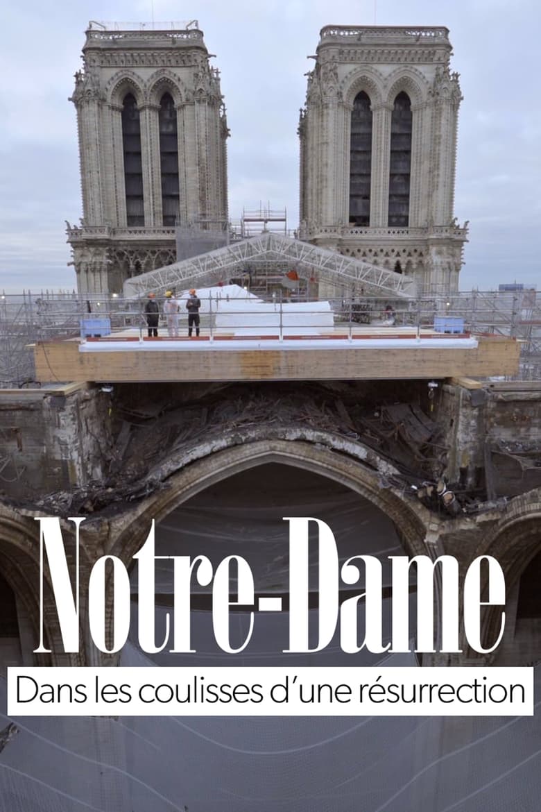 Poster of Notre-Dame of Paris, Rising from the Ashes