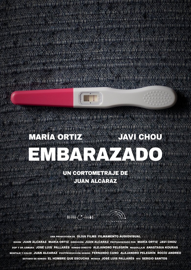 Poster of Embarazado