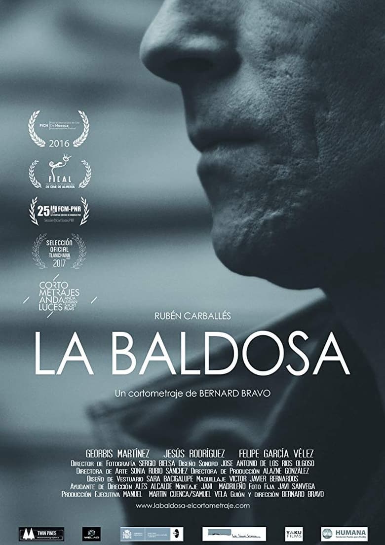 Poster of La baldosa