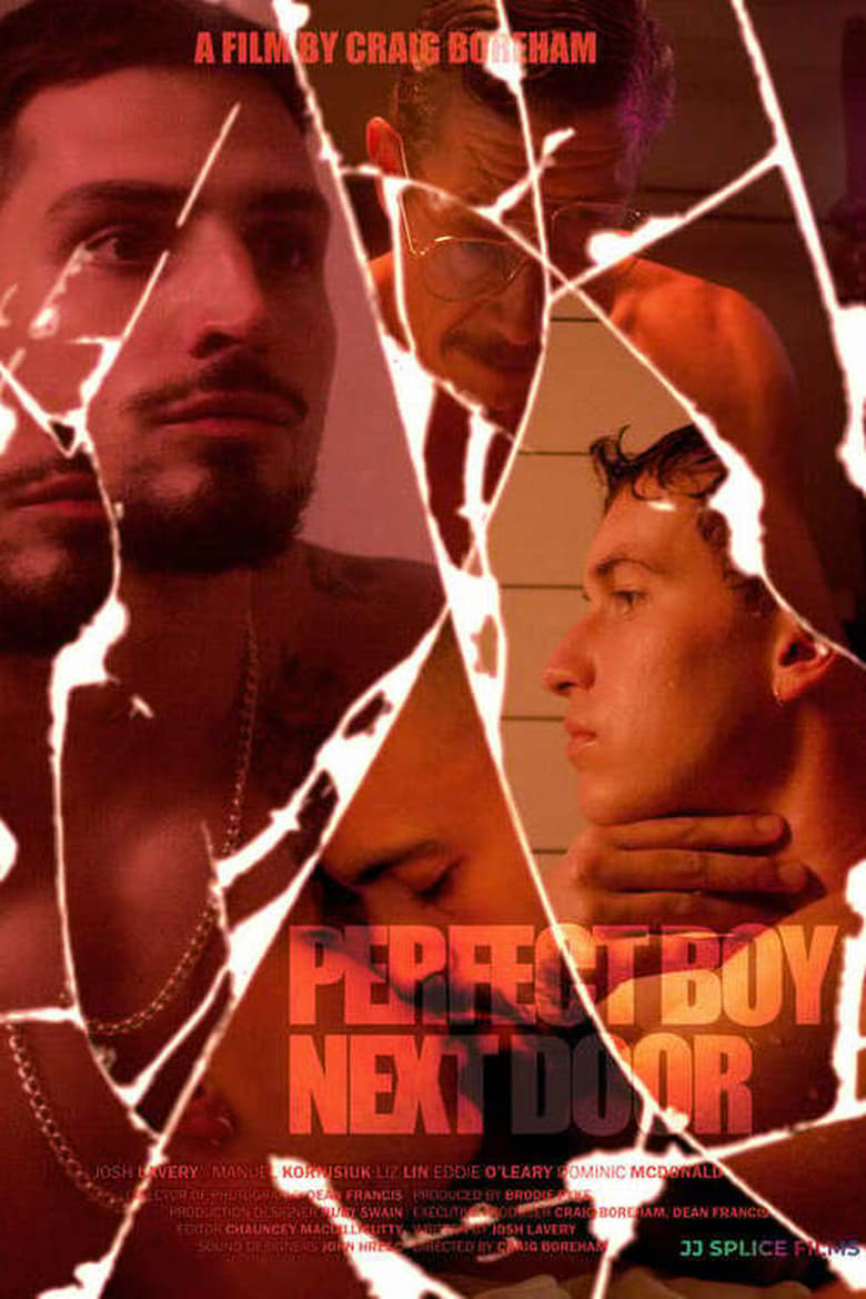 Poster of Perfect Boy Next Door