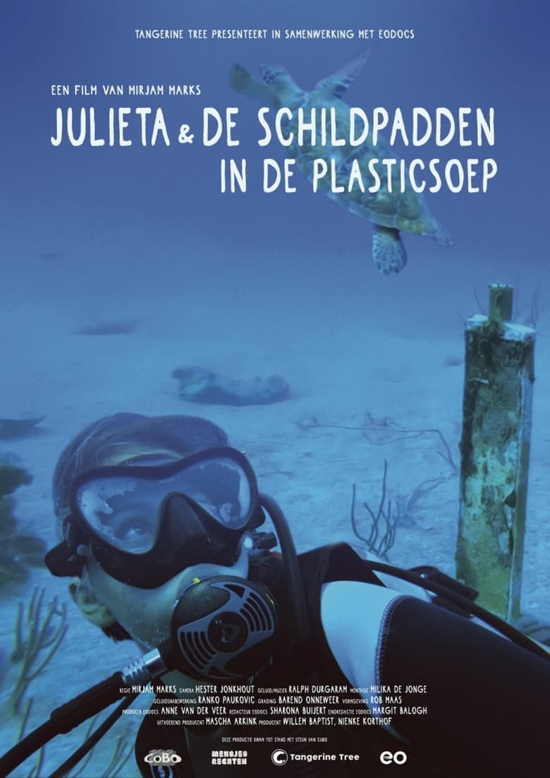 Poster of Julieta & the Turtles in the Plastic Soup