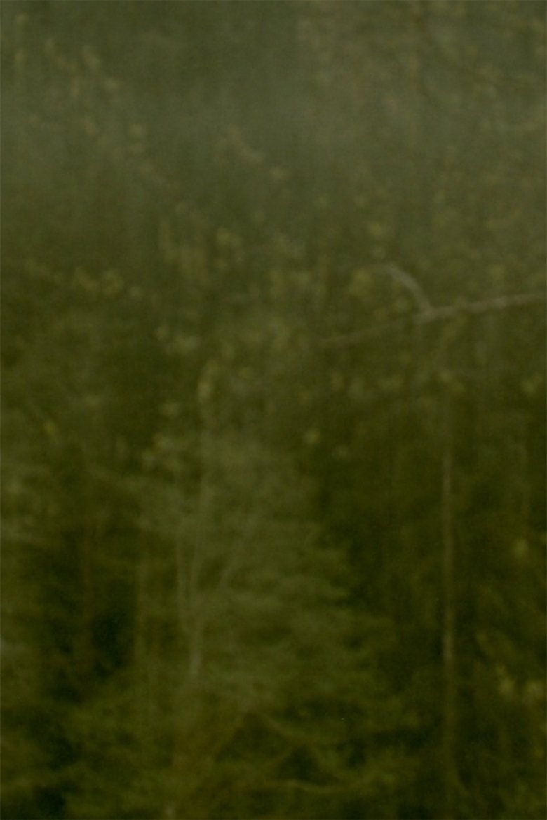 Poster of Dreams of Gold