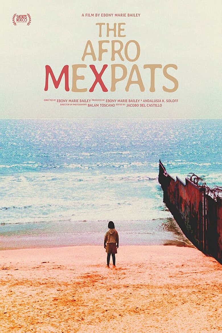 Poster of The Afro Mexpats