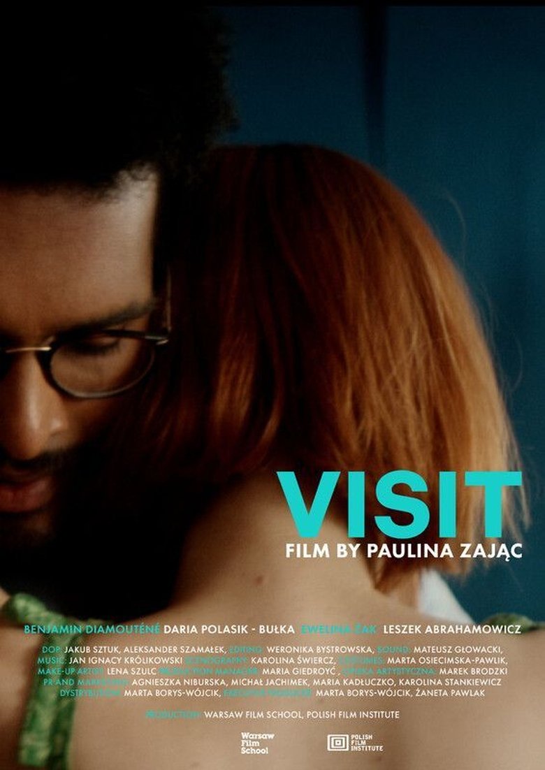 Poster of Visit