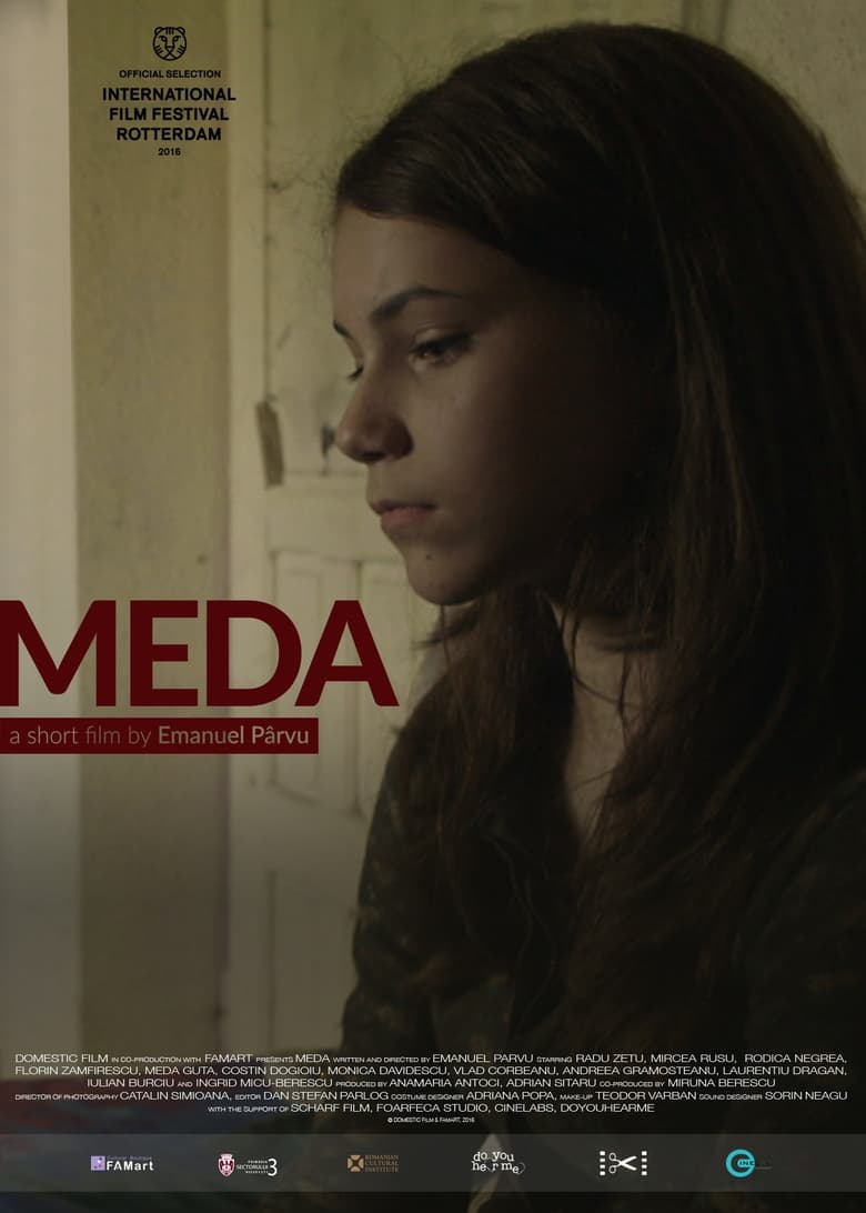 Poster of Meda