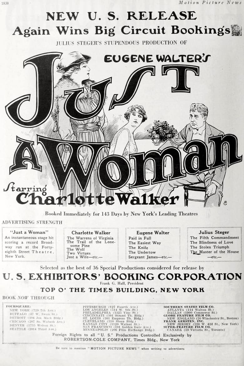 Poster of Just a Woman