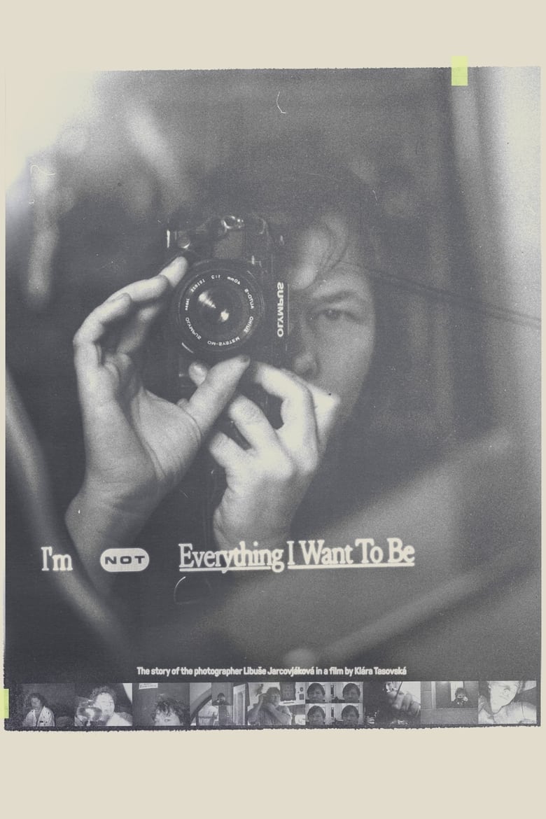 Poster of I'm Not Everything I Want to Be