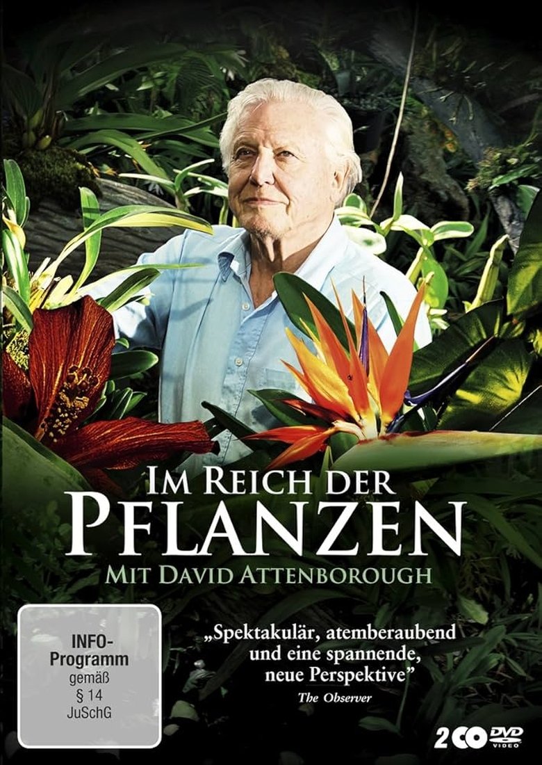 Poster of Kingdom of Plants 3D
