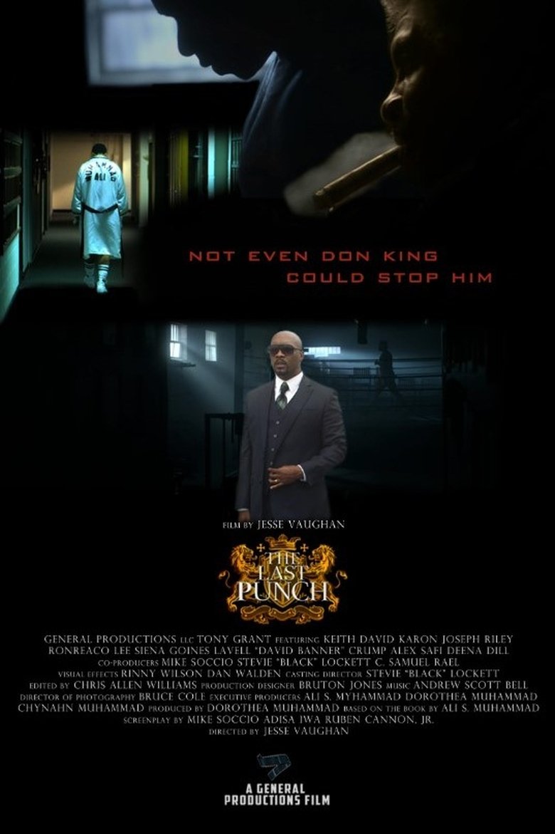 Poster of The Last Punch