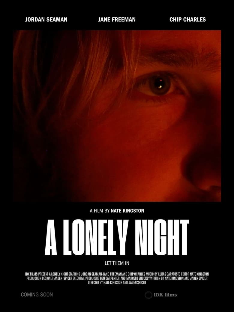 Poster of a lonely night