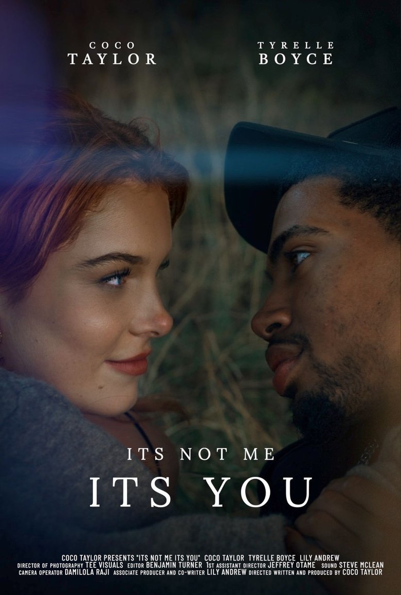 Poster of It's Not Me, It's You
