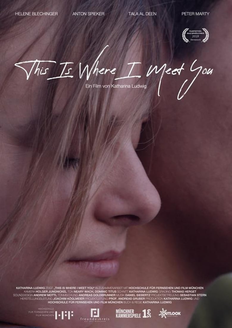 Poster of This Is Where I Meet You