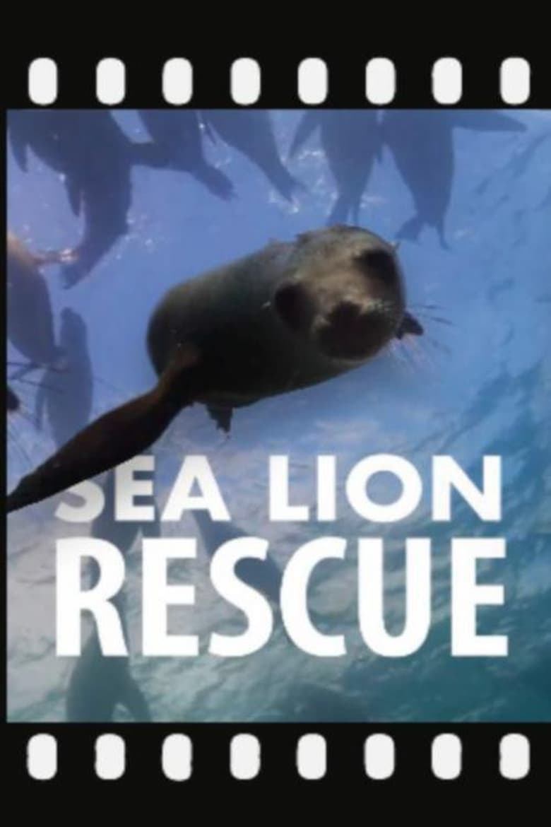 Poster of Sea Lion Rescue