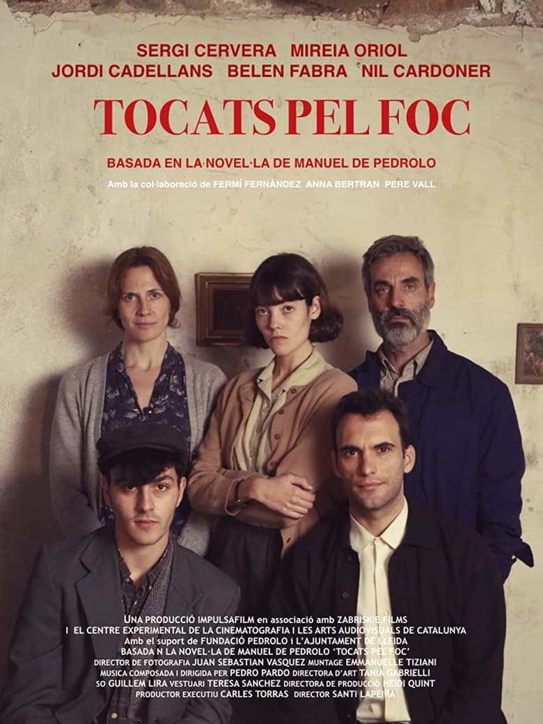 Poster of Tocats pel foc