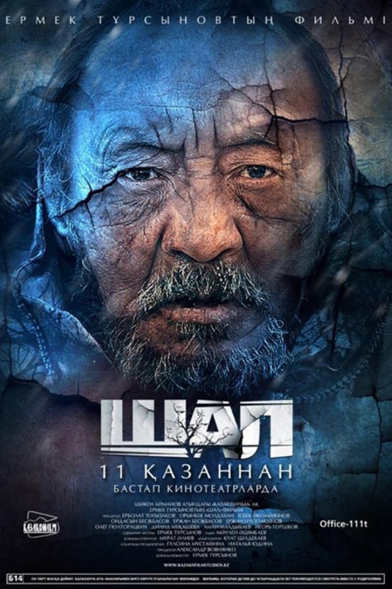 Poster of The Old Man