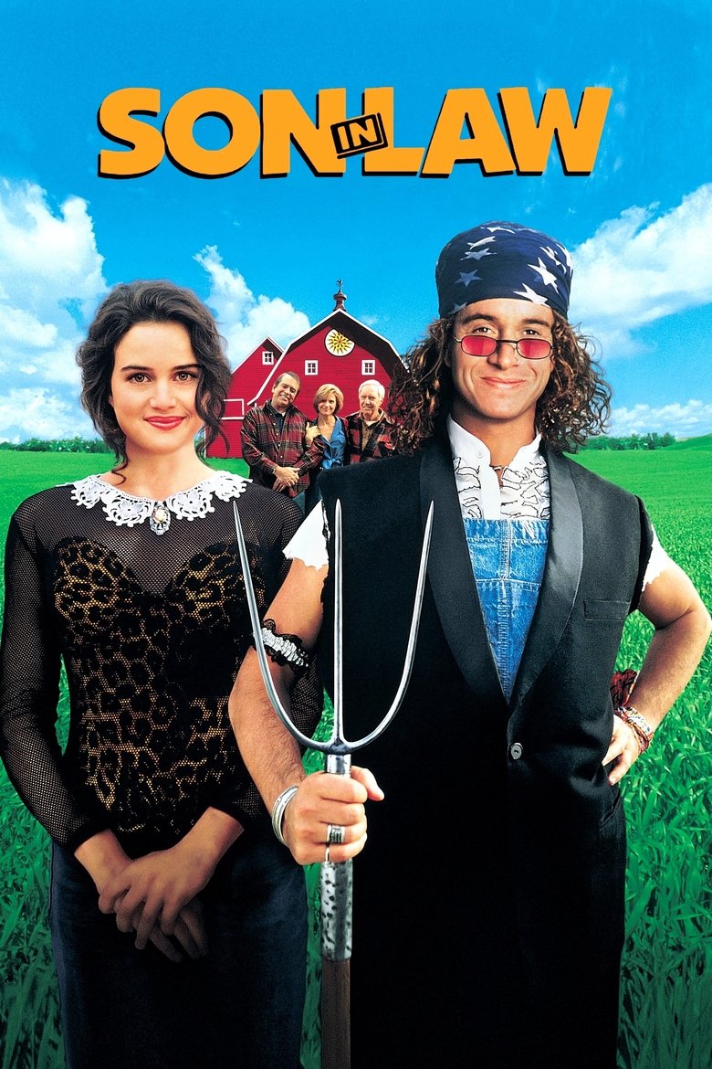 Poster of Son in Law