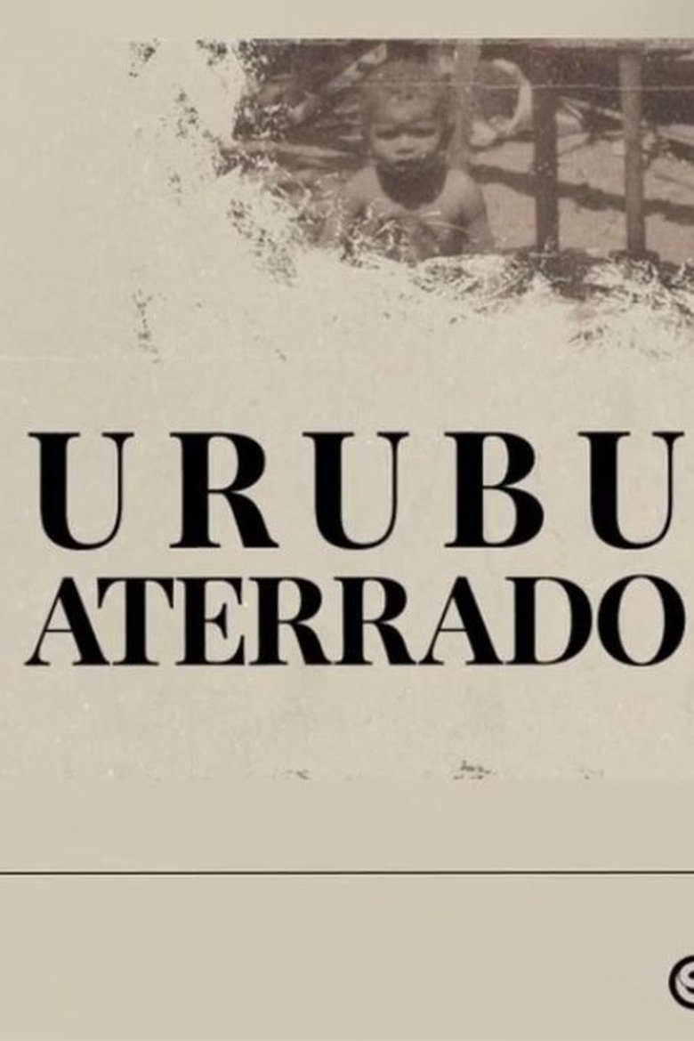 Poster of Urubu aterrado