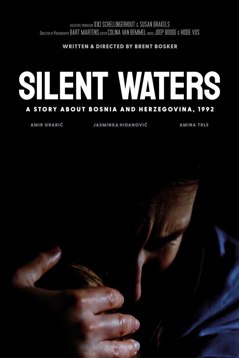 Poster of Silent Waters