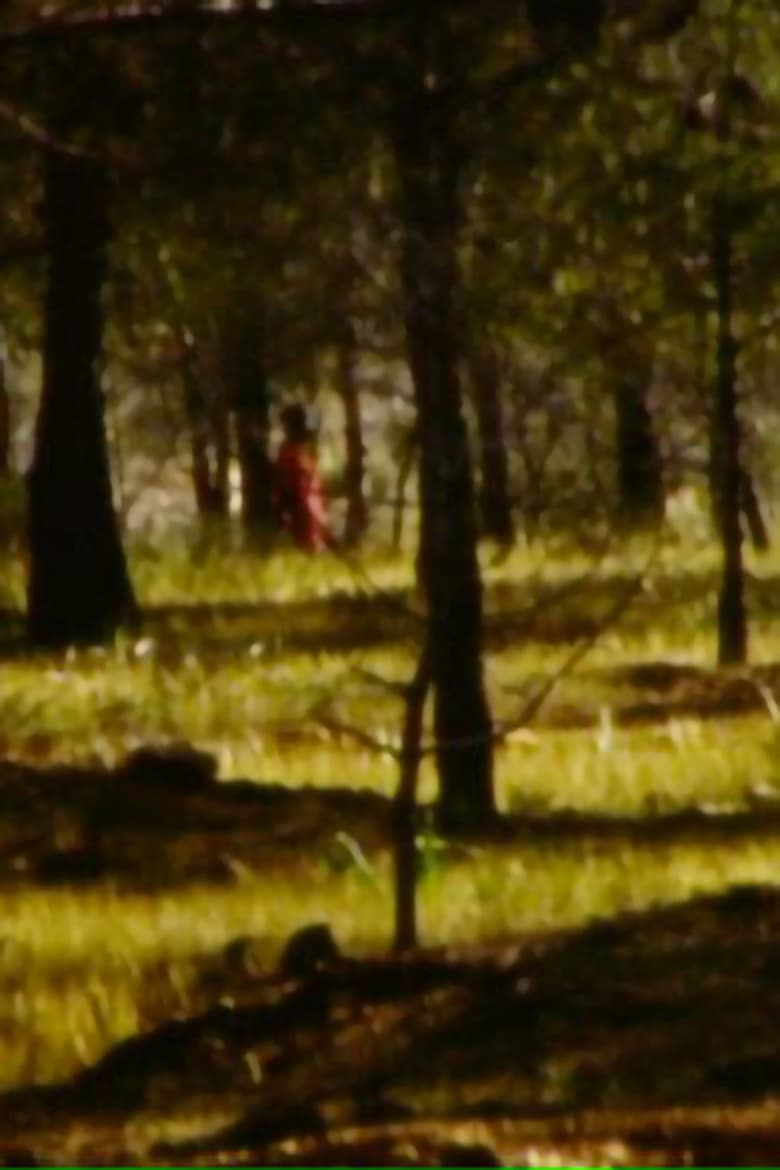 Poster of La forêt