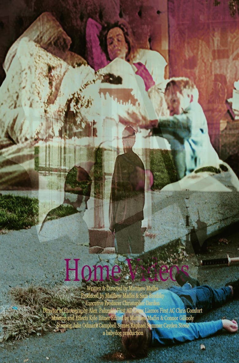 Poster of Home Videos