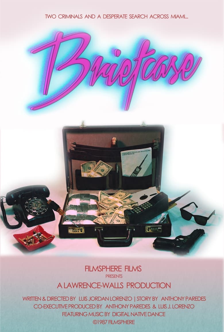 Poster of Briefcase