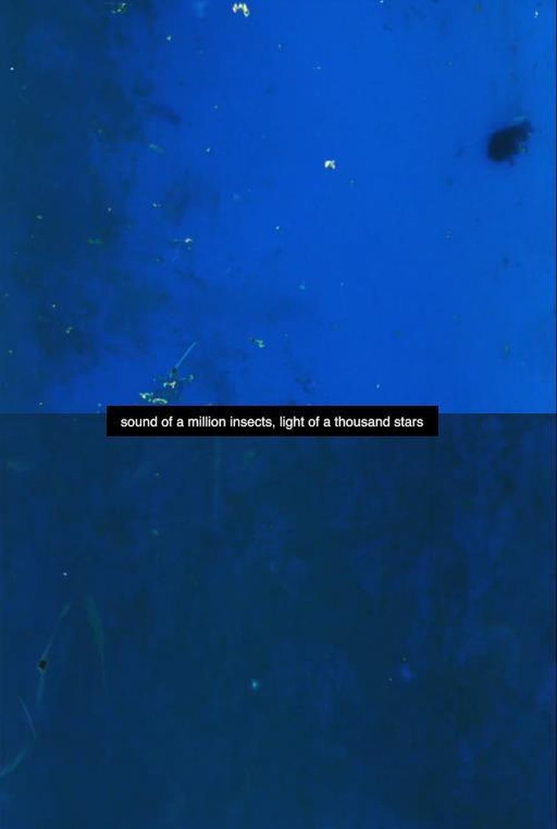 Poster of Sound of a Million Insects, Light of a Thousand Stars