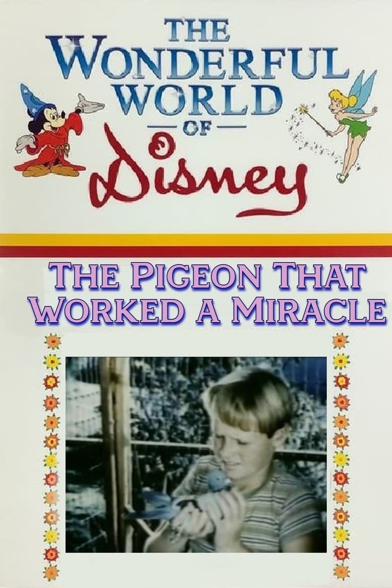 Poster of The Pigeon That Worked a Miracle