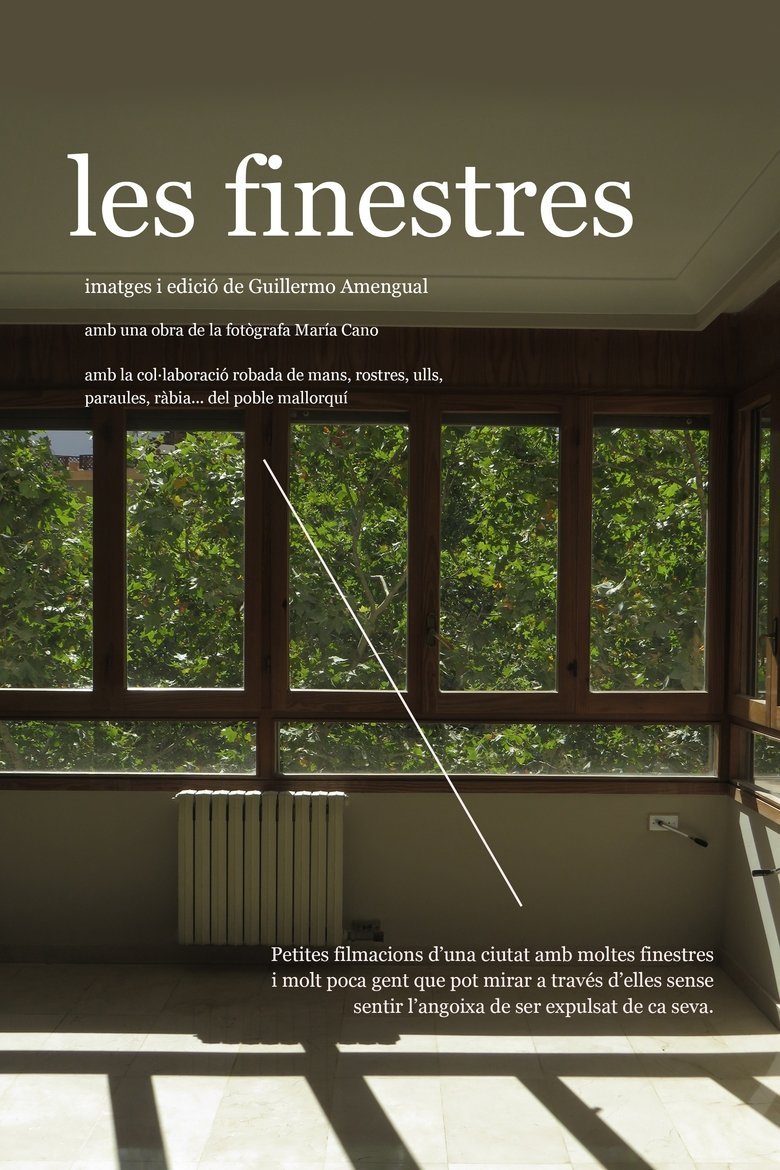 Poster of The windows