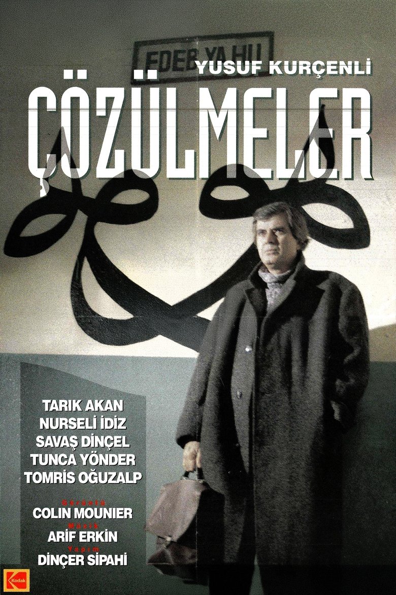 Poster of Çözülmeler