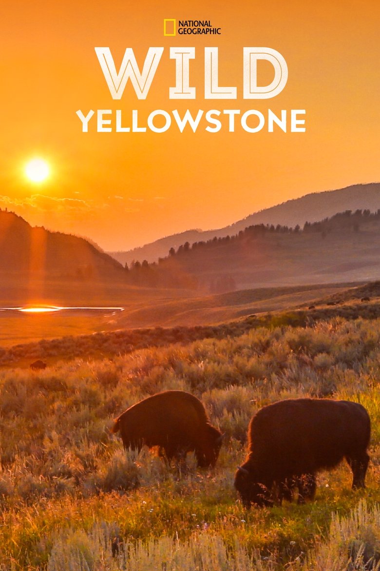 Poster of Episodes in Wild Yellowstone - Miniseries - Miniseries