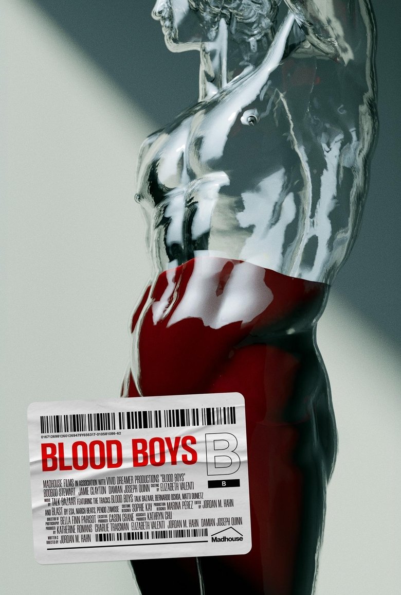 Poster of Blood Boys