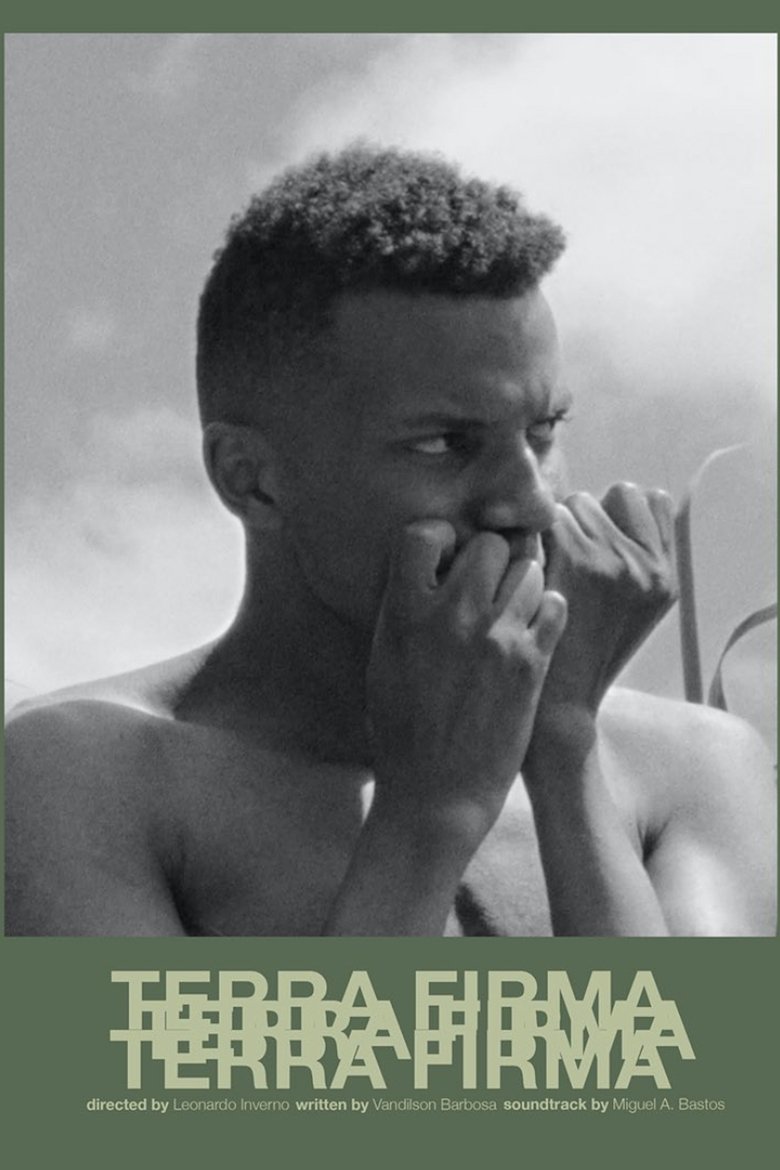 Poster of Terra Firma