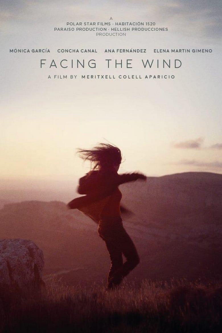 Poster of Facing the Wind