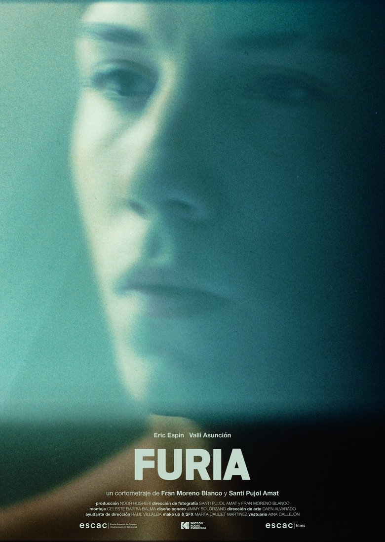 Poster of Furia