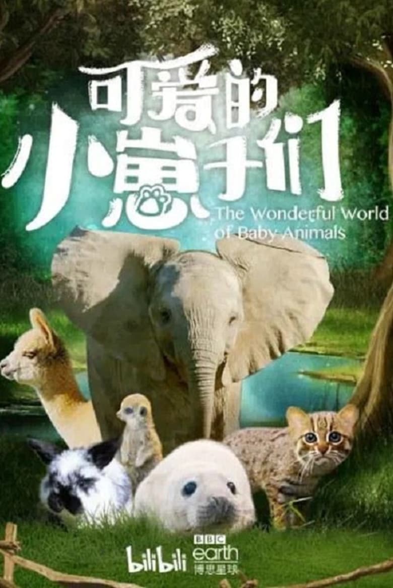 Poster of Episodes in The Wonderful World Of Baby Animals - Season 1 - Season 1