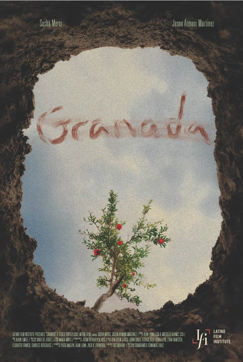 Poster of Granada