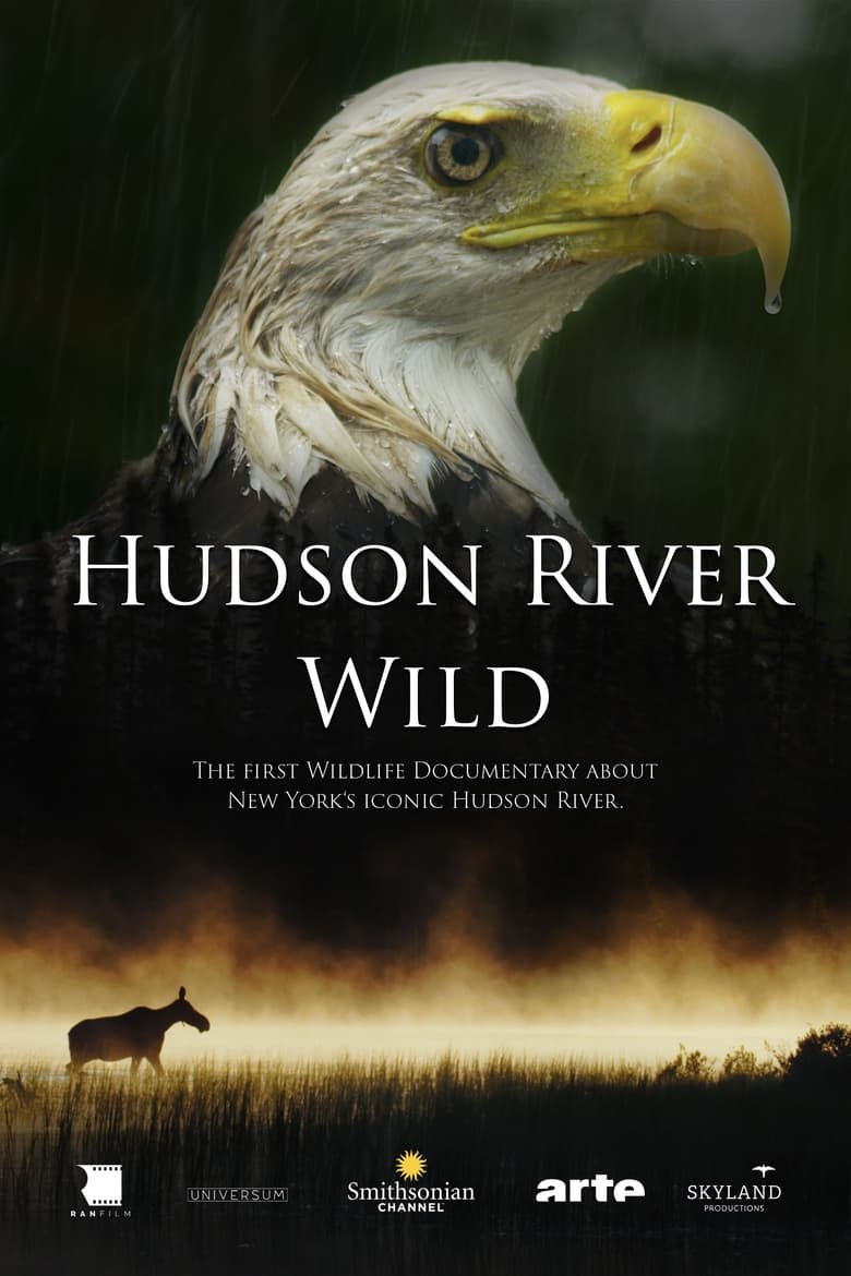 Poster of Hudson River Wild