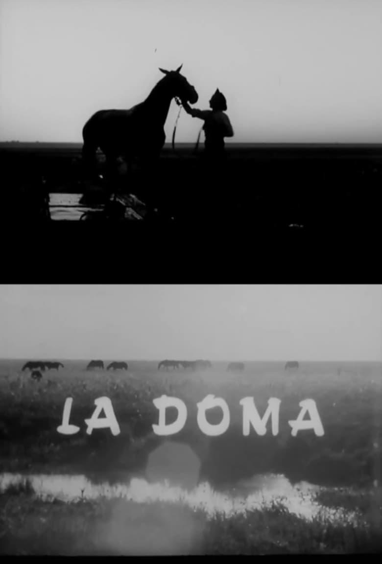 Poster of La doma