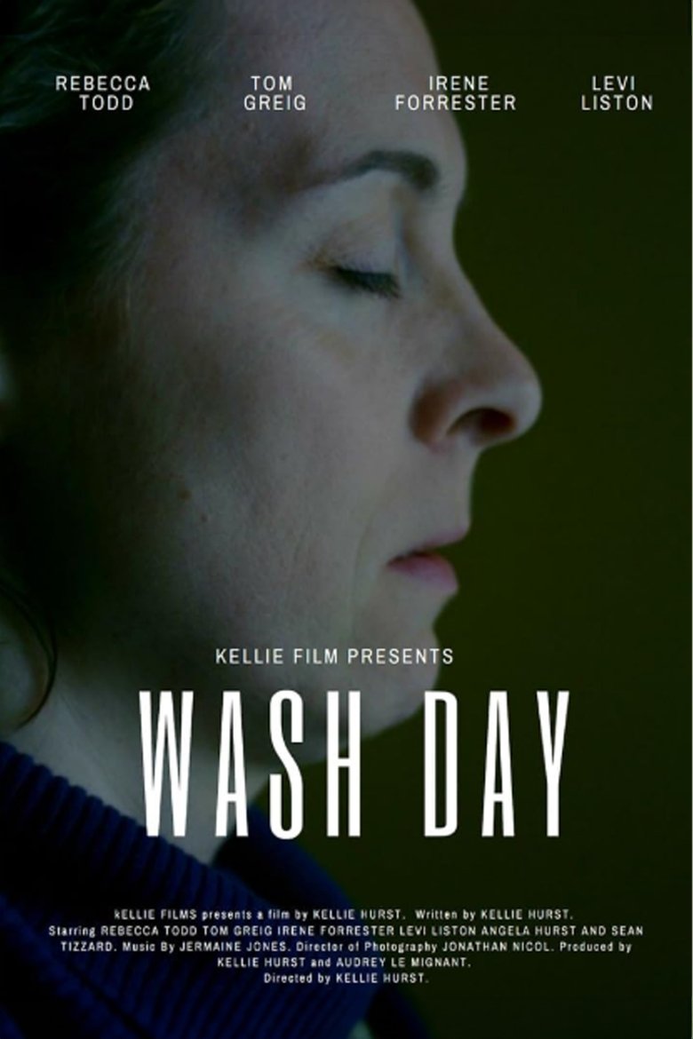 Poster of Wash Day