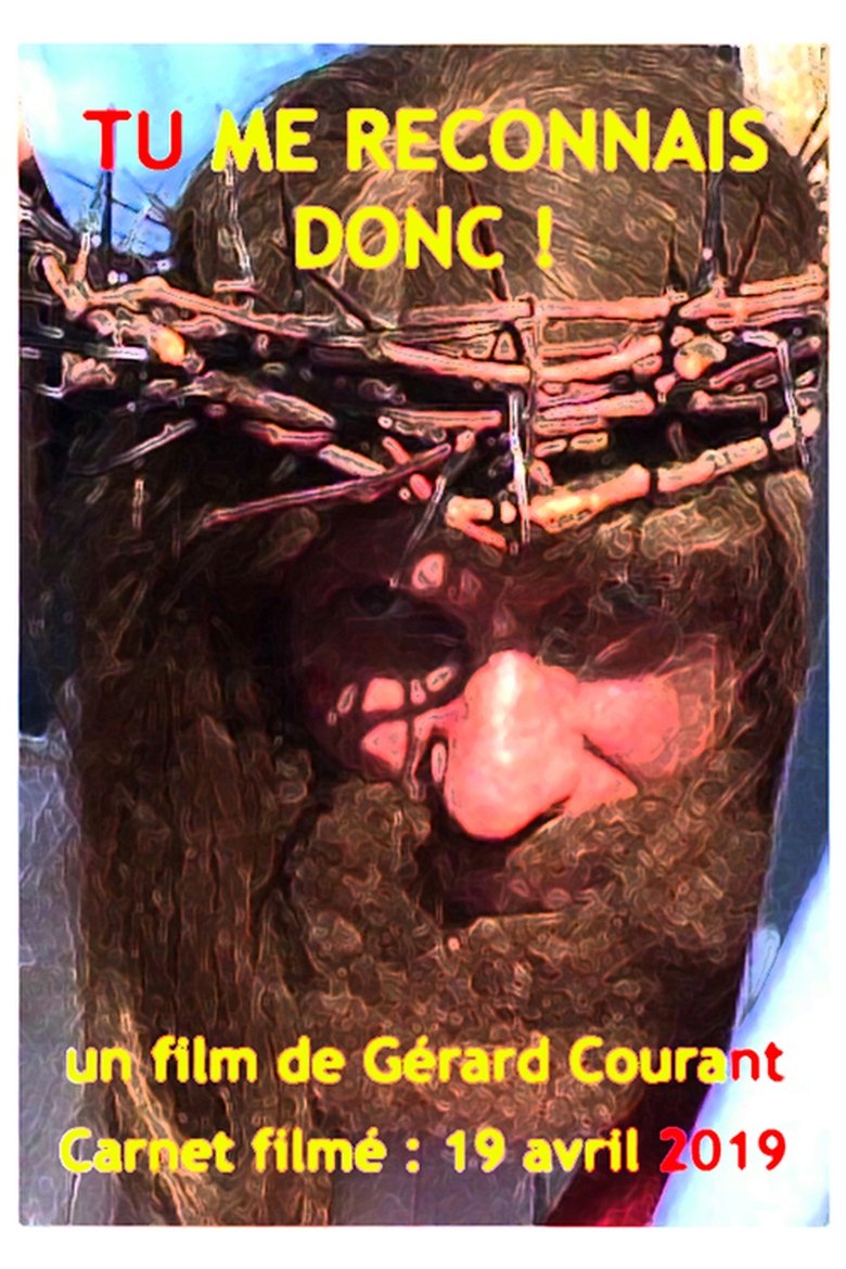 Poster of Tu me reconnais donc !