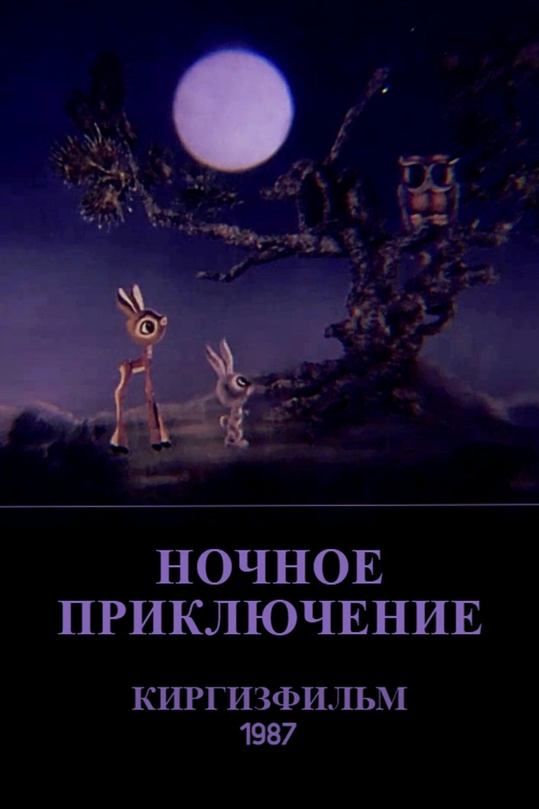 Poster of The Nighttime Adventure